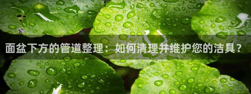 富邦娱乐场官方下载