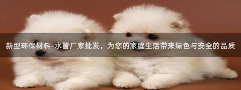 富邦娱乐 果敢锦海