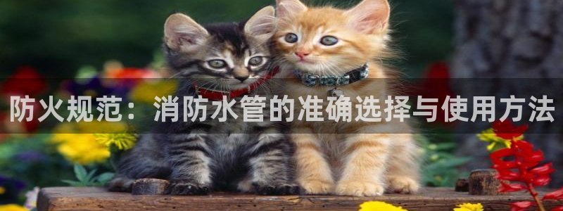富邦娱乐网站多少
