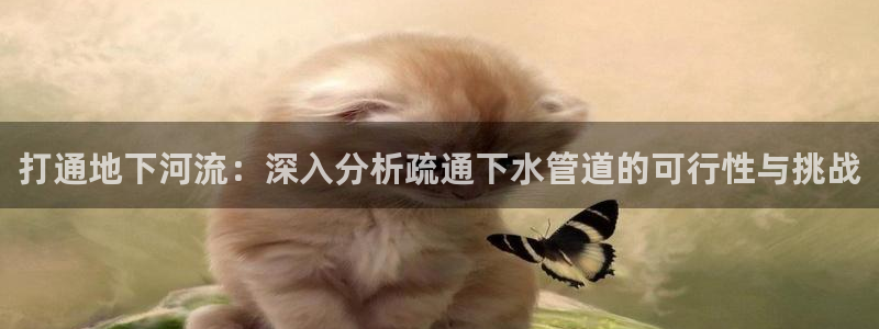 富邦娱乐活动