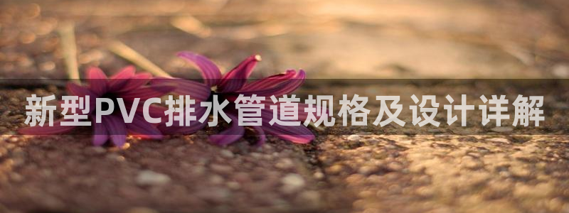 宁波富邦广场娱乐会所