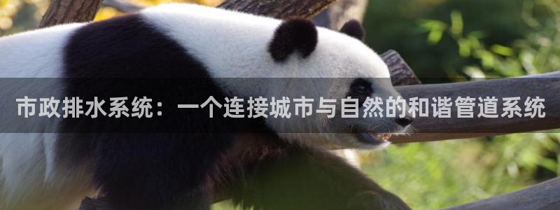 北仑富邦娱乐