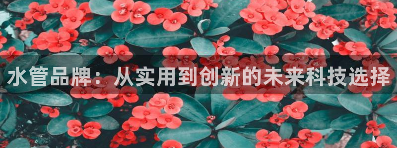 富邦娱乐平台地址