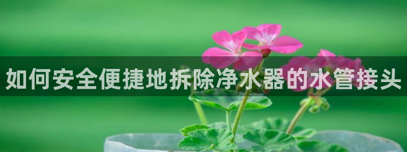 富邦娱乐城 皇恩靠谱