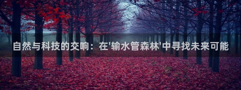 富邦娱乐项目