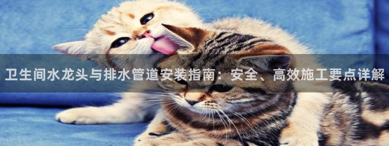 富邦娱乐官网