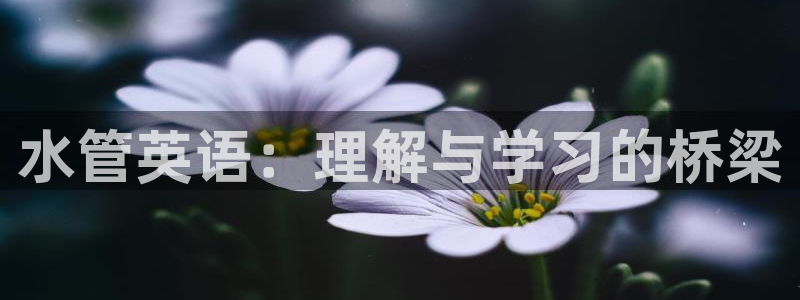 富邦广场儿童娱乐场所