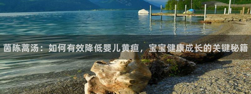 富邦娱乐彩票最新地址