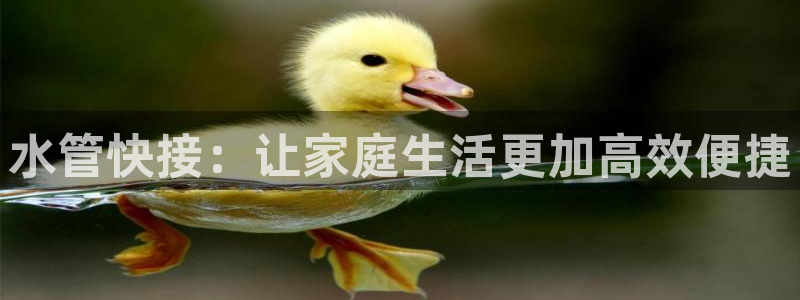 富邦娱乐城-皇恩a平台