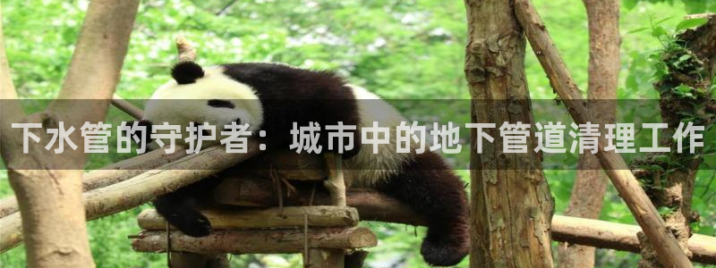 富邦娱乐彩票最新地址