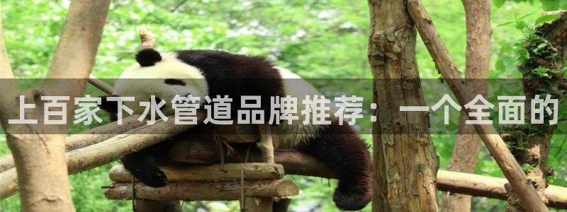 富邦娱乐澳门娱乐网站