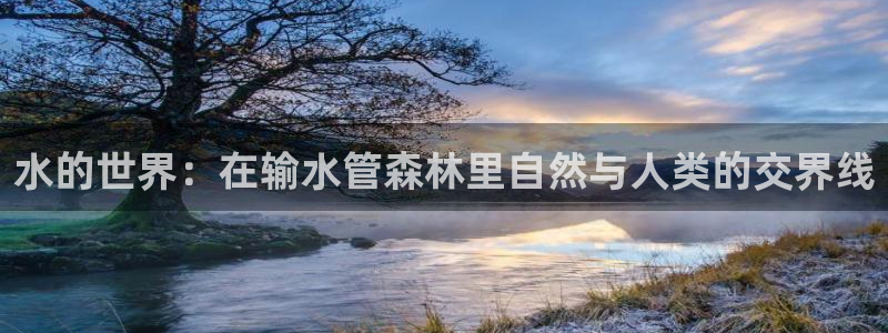 富邦娱乐场手机下载