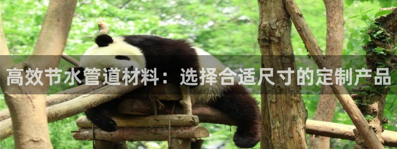 富邦娱乐 皇恩靠谱