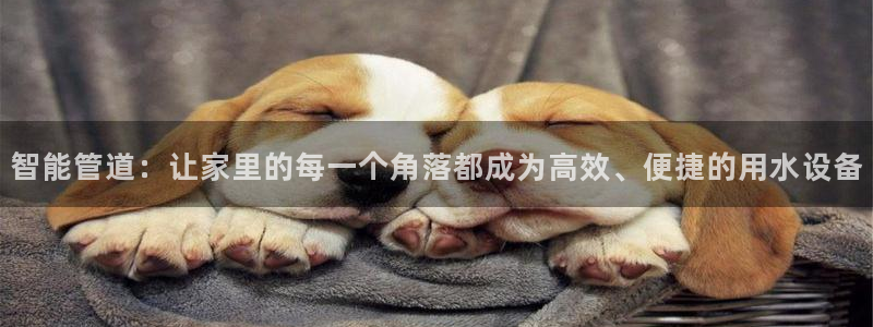 富邦娱乐fub