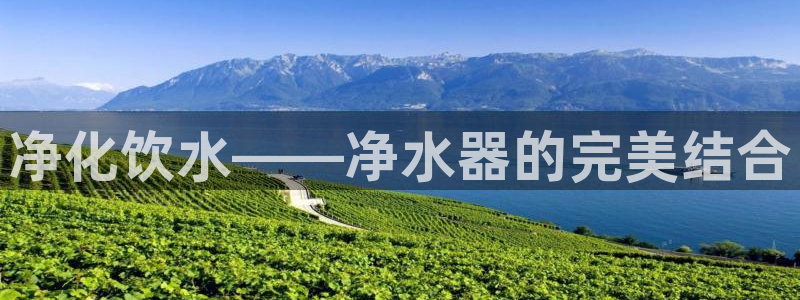 富邦娱乐合并