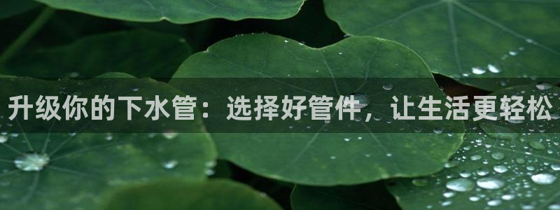 富邦娱乐网址是多少