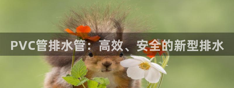 富邦娱乐会员账号大全