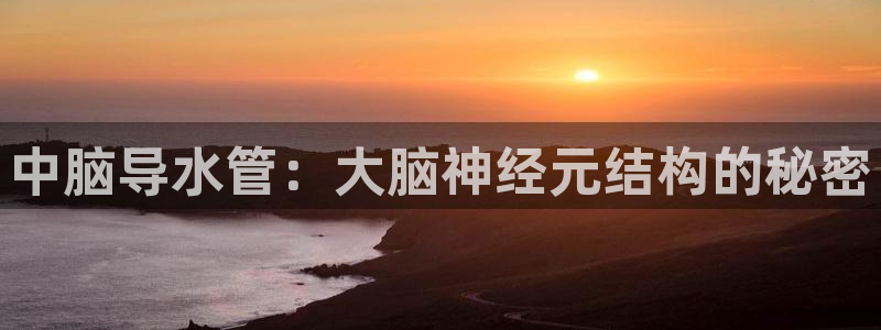 富邦娱乐平台 全礴网