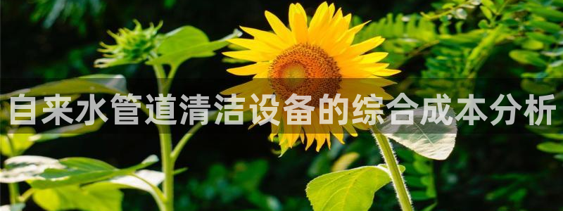 富邦娱乐网站多少