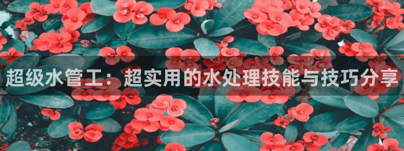 杭州临平富邦娱乐会所