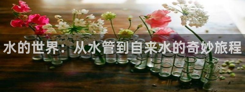 屏山富邦娱乐会所地址查询