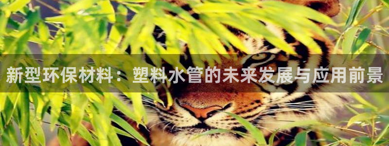 富邦娱乐彩票官网下载