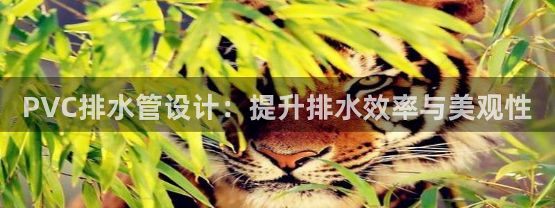 富邦娱乐国际