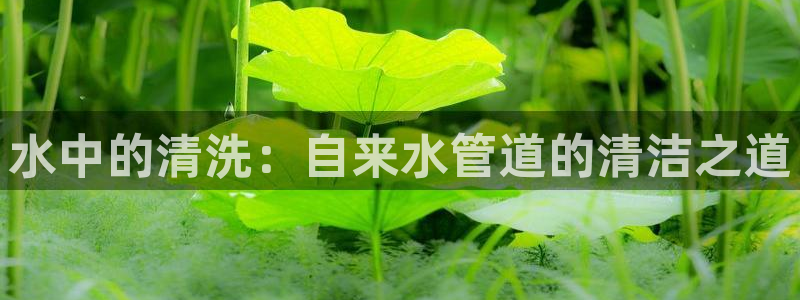 杭州富邦丽晶娱乐会所