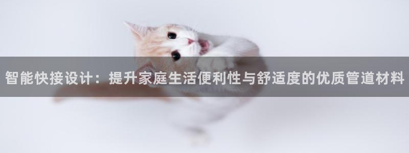 富邦娱乐 果敢锦海