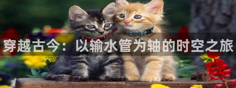 富邦娱乐大厅优惠活动