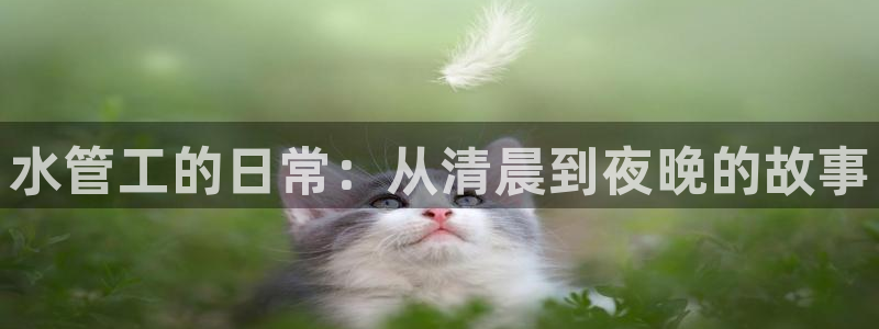 富邦娱乐网站登录