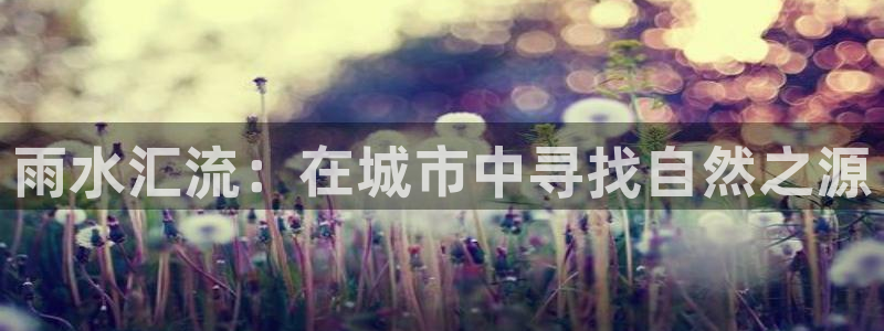 富邦娱乐网址