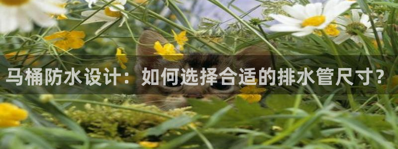 富邦翡翠娱乐