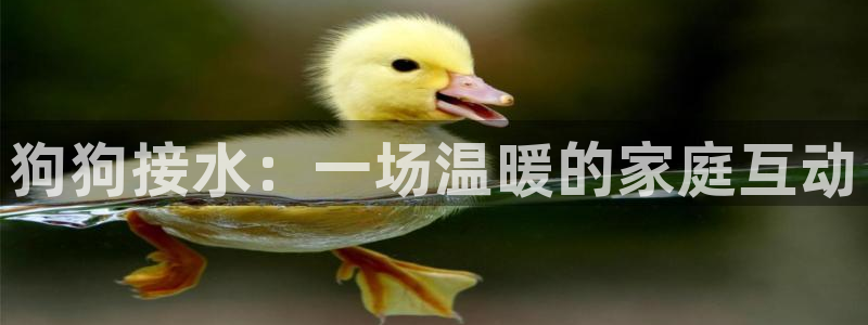 富邦商务娱乐会所怎么样