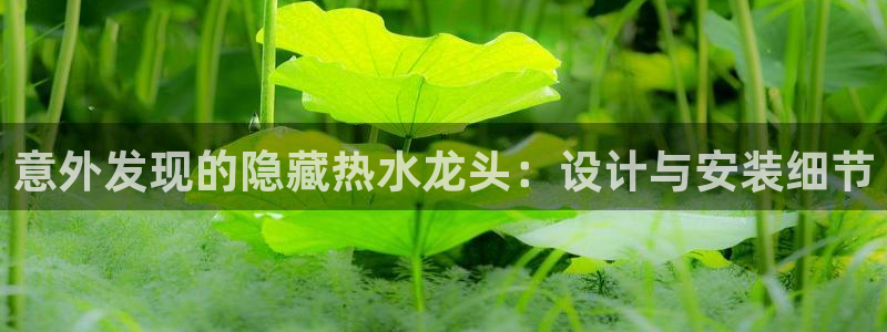 富邦 娱乐 花花公子