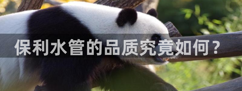 天象娱乐和宁波富邦