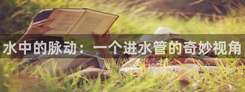 富邦娱乐平台-皇恩靠谱