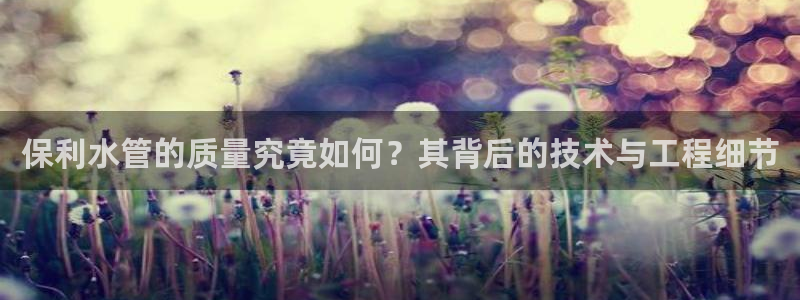 上海邦富娱乐有限公司