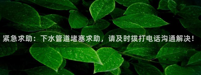 富邦翡翠娱乐怎么样