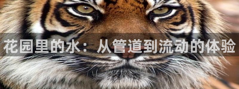 富邦娱乐场官方下载