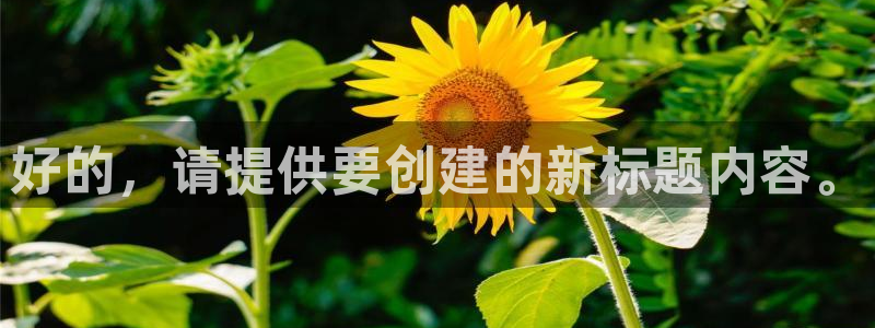 富邦娱乐 果敢锦海