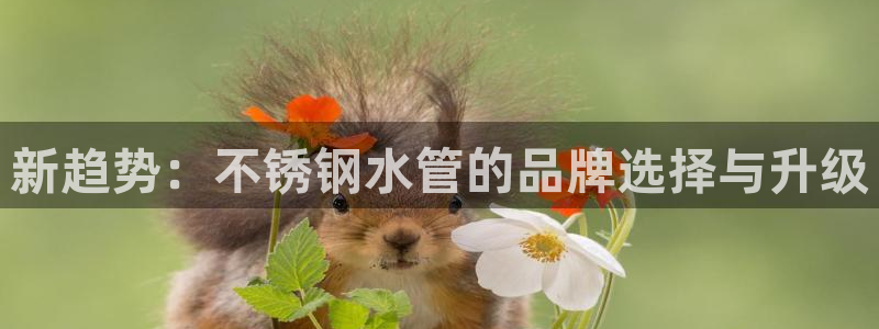 杭州富邦娱乐会所