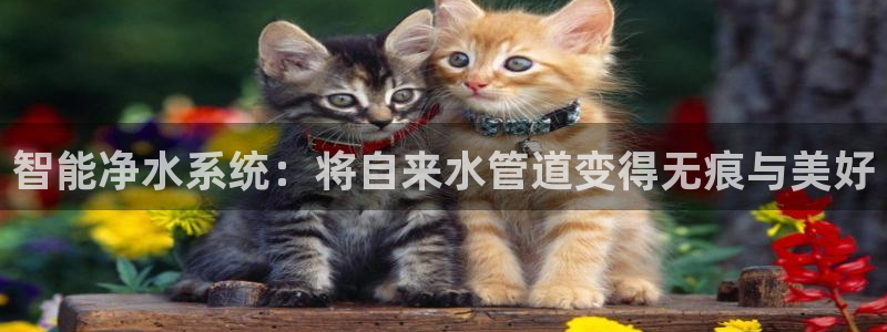 富邦娱乐彩票官网下载