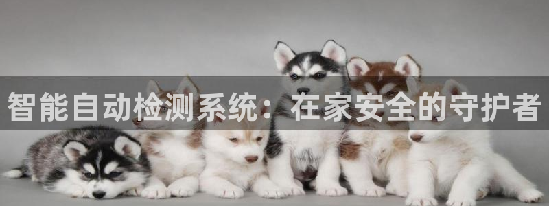 富邦娱乐团购怎么样