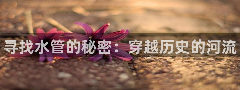 富邦娱乐大厅优惠活动