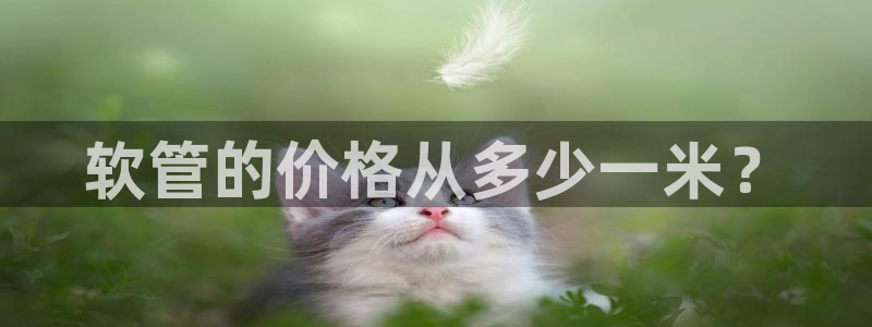 富邦娱乐澳门娱乐网站