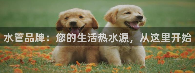 上海邦富娱乐有限公司