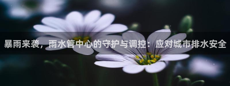 富邦娱乐app下载