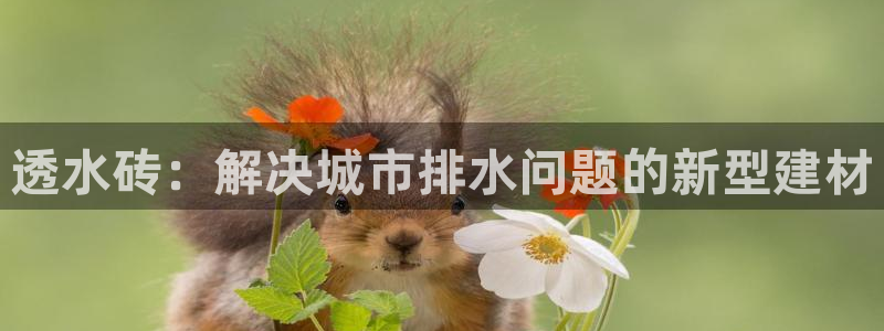 富邦广场北仑娱乐