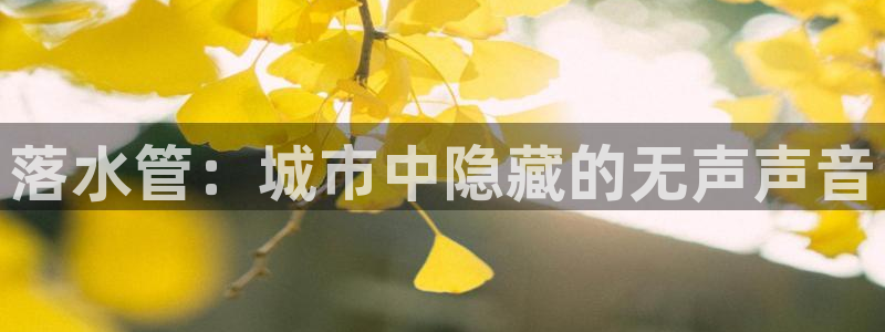 富邦娱乐-皇恩靠谱